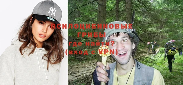 молекула духа Алзамай