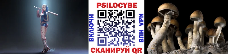 где купить наркоту  Трёхгорный  Галлюциногенные грибы MAGIC MUSHROOMS 